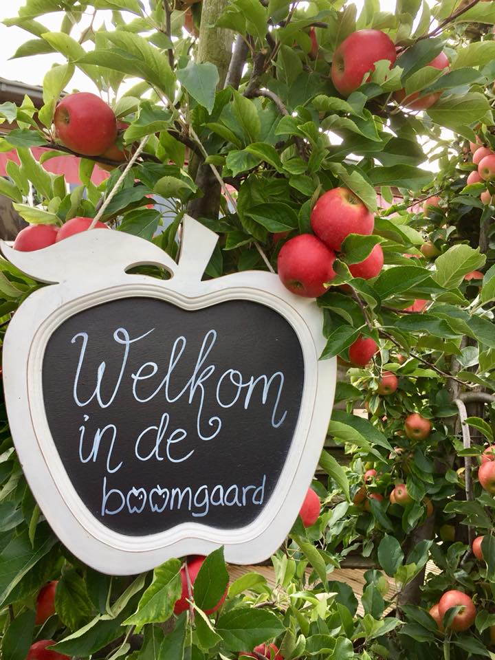 Apples Sonneveld Benthuizen