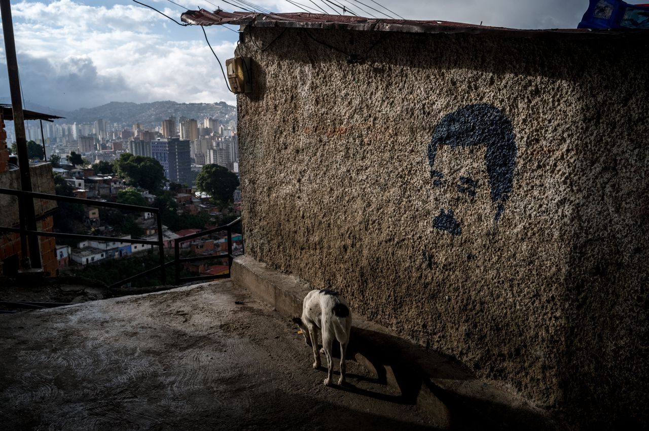 A dog sniffs a wall with graffiti by Nicolás Maduro in Caracas, November 20.