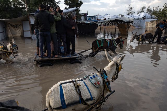 Palestinians are also struggling with rain in the south of Gaza. According to the Palestinian news agency Wafa, an eight-month-old baby died from the cold in Khan Younis on December 11. 