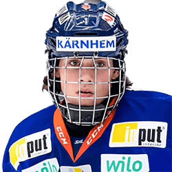 Dominik Bokk