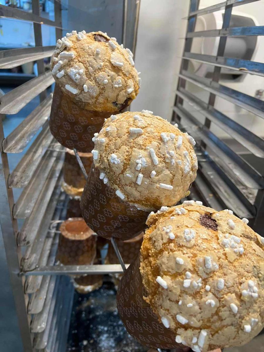 Panettone