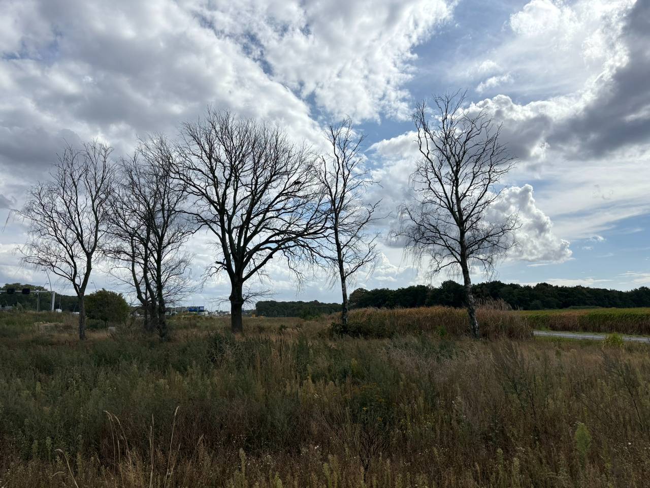 https://api.omroepbrabant.nl/img/f/$width$/$height$/0.50/0.56/cmV2aXNpb25zLzQ3NDE0NTktMS5qcGc_c2U9MjA0NS0wMS0wMVQxMCUzQTQwJTNBMDBaJnNpZz1lMDdUd XdWeW9LTDdEQldZUXdDRmEzbDFkSVhJT2oxcWslMkZPWDZrdW1jbjglM0Qmc3A9ciZzcHI9 aHR0cHMmc3I9YiZzdD0yMDI1LTAxLTAxVDEwJTNBNDAlM0EwMFomc3Y9MjAyMC0xMC0wMg==