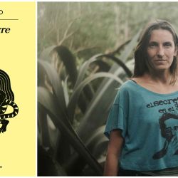 Sad Tiger and its author, Neige Sinno. | Photo:Anagrama and Mahei Elipe
