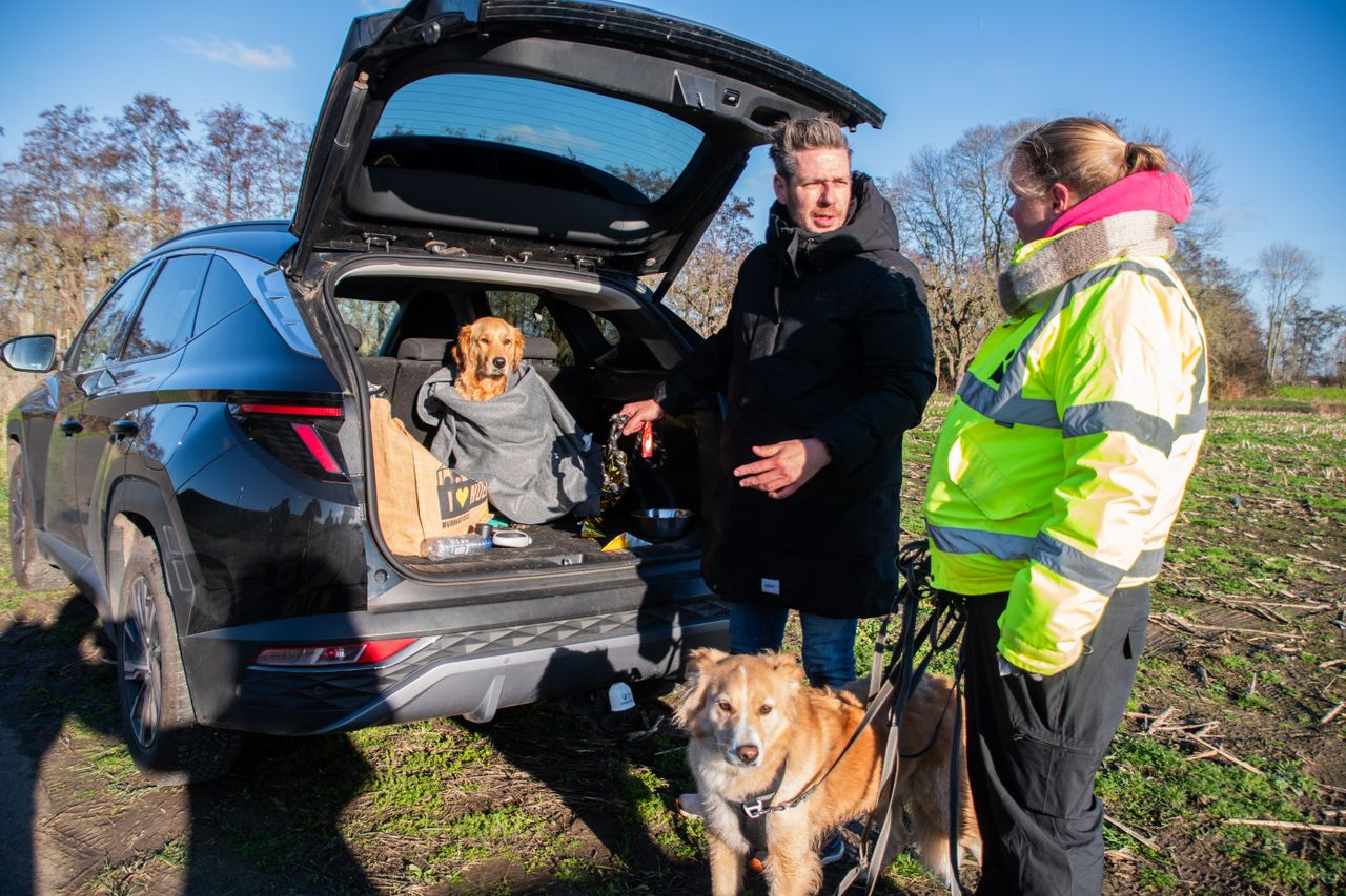 The DJ's dog can recover from his adventure (photo: Justin Egberts/Egberts Media).