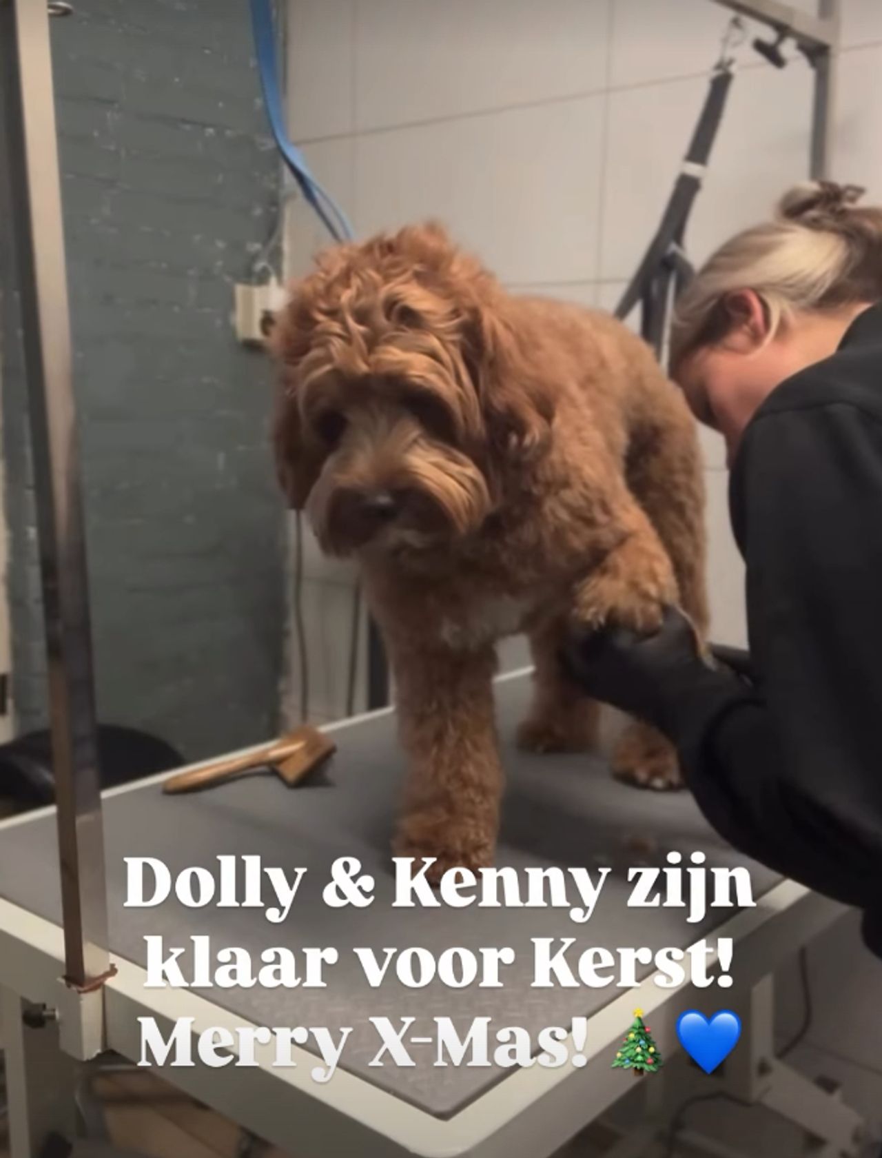 photo: Instagram/guus.meeuwis.