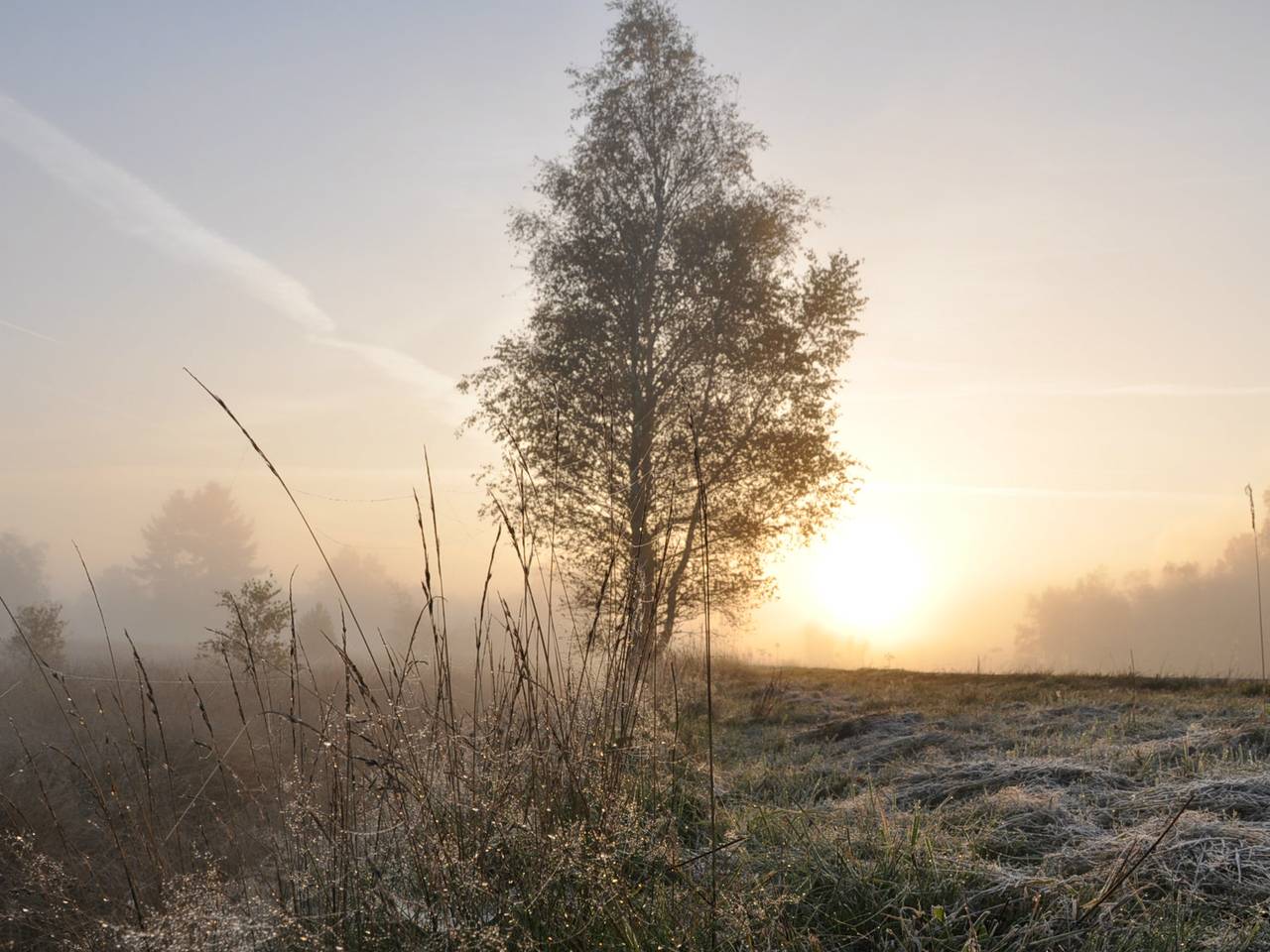 https://api.omroepbrabant.nl/img/f/$width$/$height$/0.50/0.50/cmV2aXNpb25zLzIxOTM0MTAtMS5qcGc_c2U9MjA0NS0wMS0wMVQxMCUzQTQwJTNBMDBaJnNpZz1ISWs3dE0 lMkJER0hWR2lOYmZCSERsdVY2WTElMkZoakQlMkJpTVBFUWQwdXhnNnZBJTNEJnNwPXImc3B yPWh0dHBzJnNyPWImc3Q9MjAyNS0wMS0wMVQxMCUzQTQwJTNBMDBaJnN2PTIwMjAtMTAtMDI=