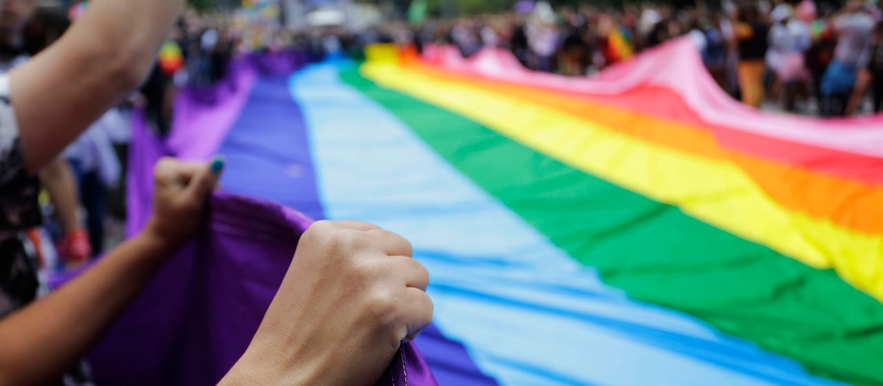 Hands holding a large rainbow flag (archive)