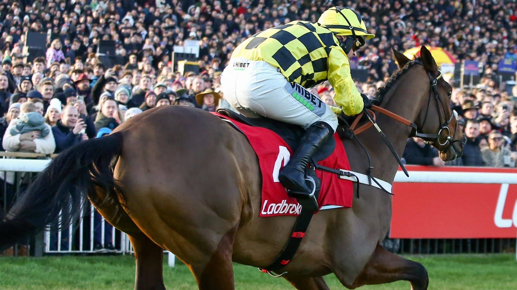 An equestrian in action (symbolic image): A young Irishman died in a car accident.