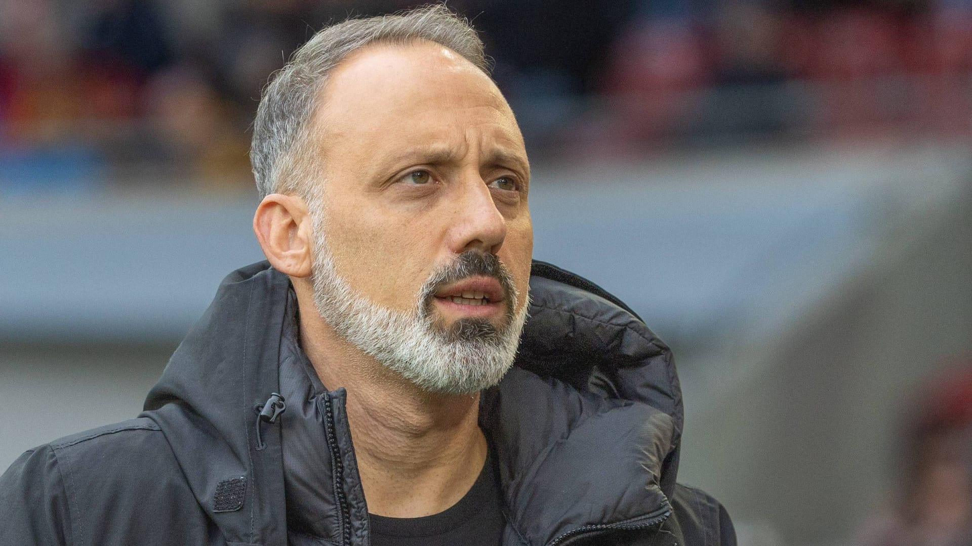 Pellegrino Matarazzo: He was on the sidelines for Hoffenheim in 67 competitive games.