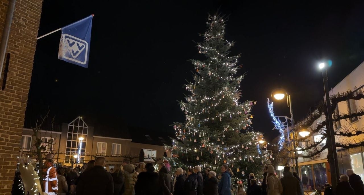 The Grinch tree at the market.