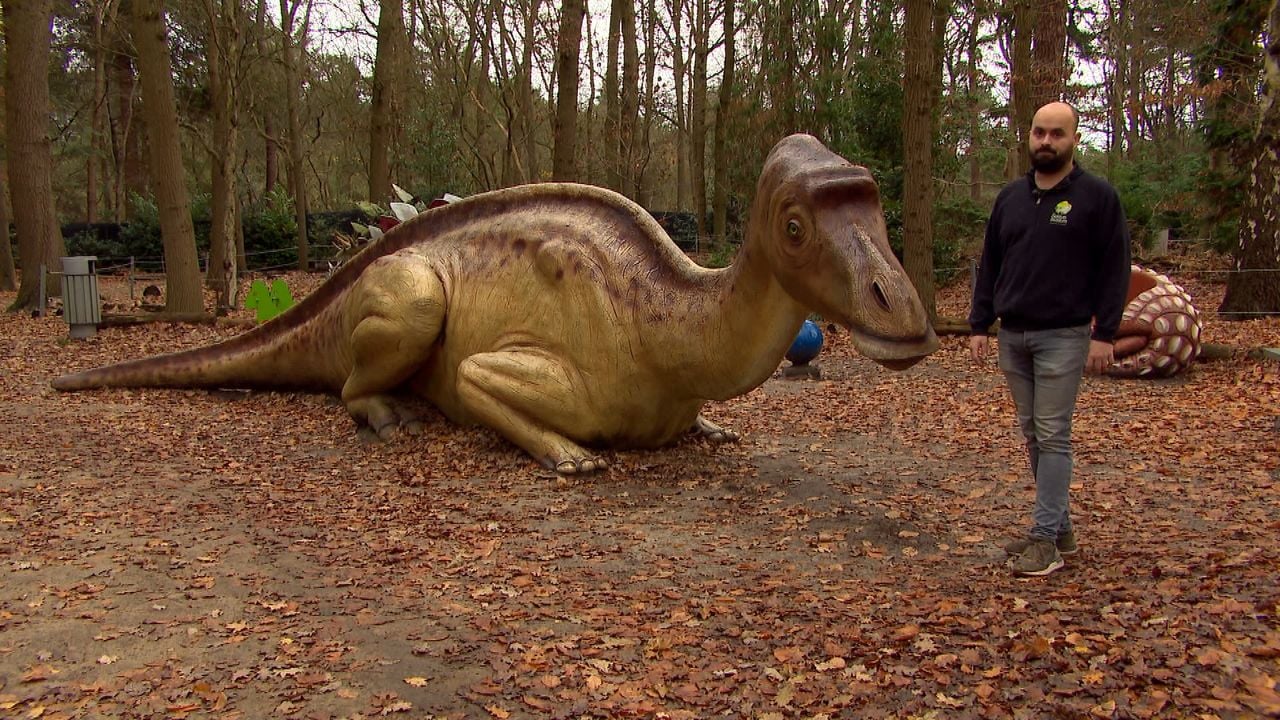 This is what Monty must have looked like according to Jonathan.