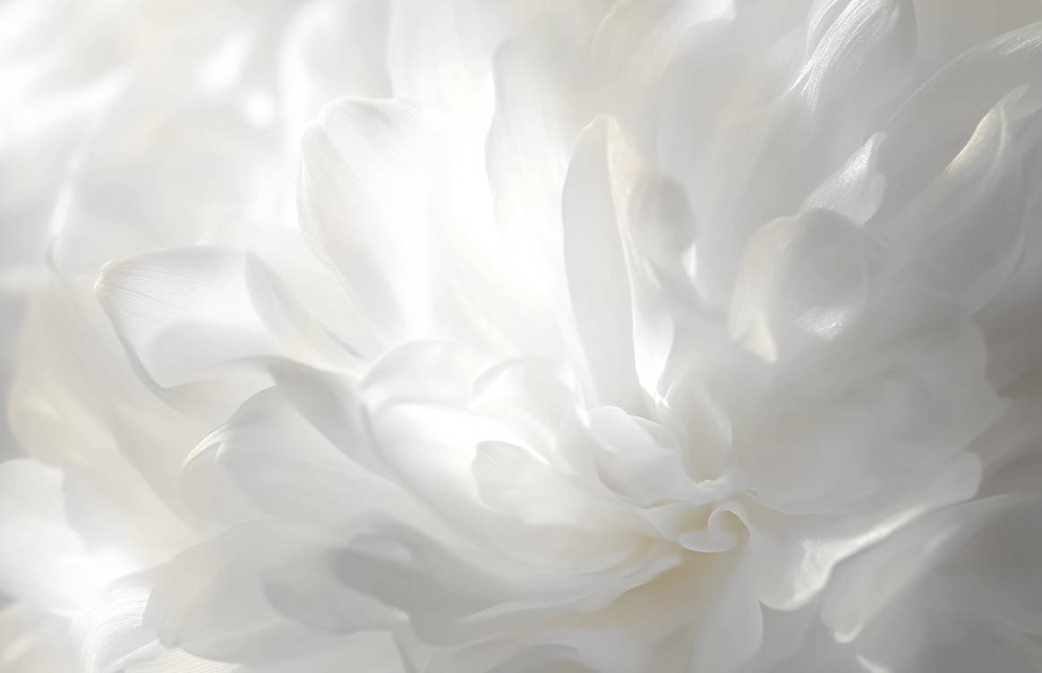 Pantone 'Cloud Dancer'