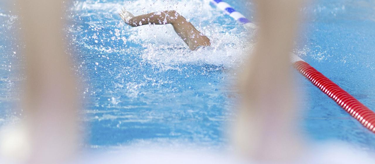 Swimmers in the pool