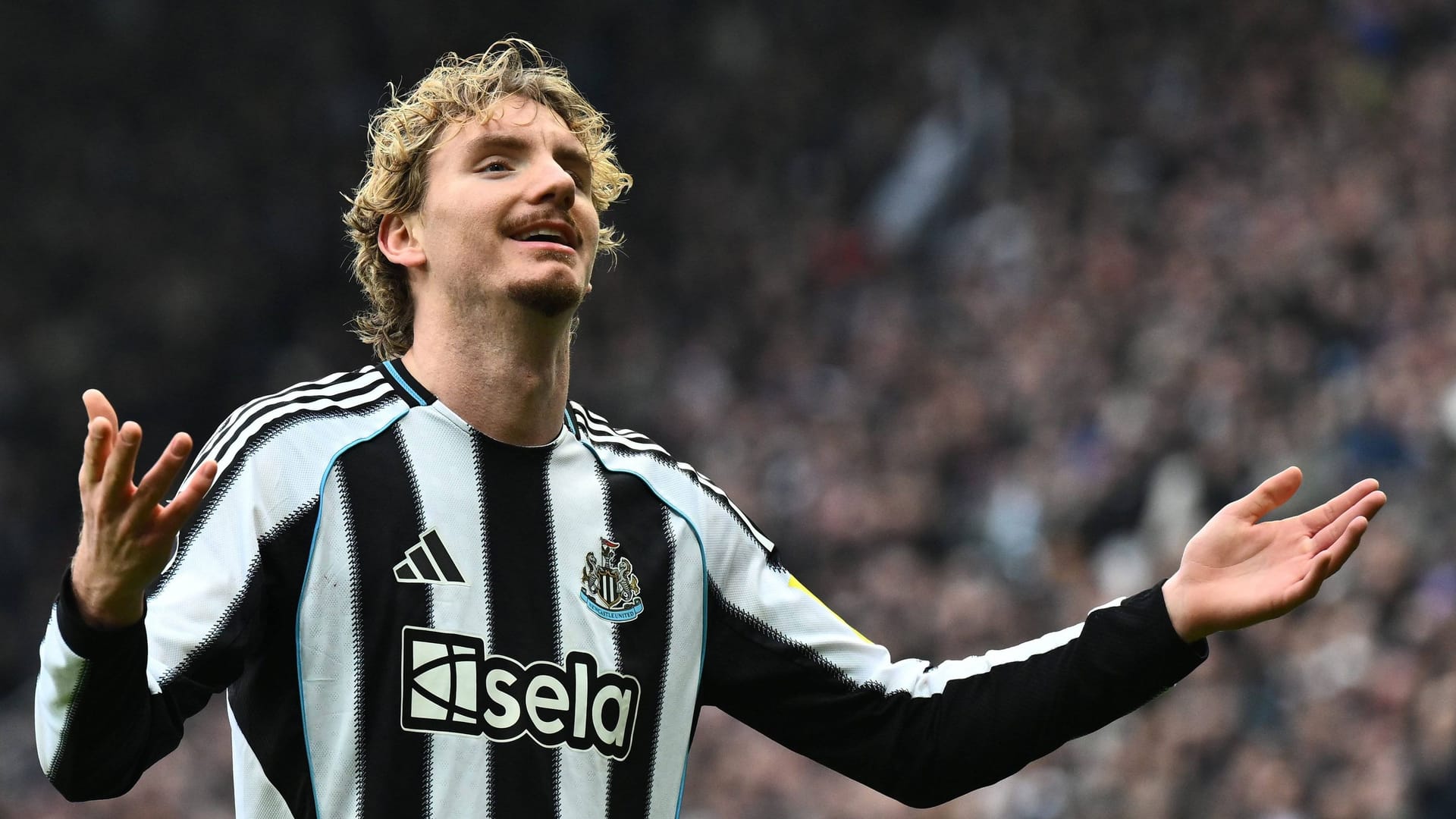 Nick Woltemade: The DFB striker is playing his first season in England.