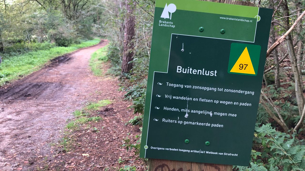 The forest path where Yvonne was found in Halsteren (Photo: Willem-Jan Joachems)