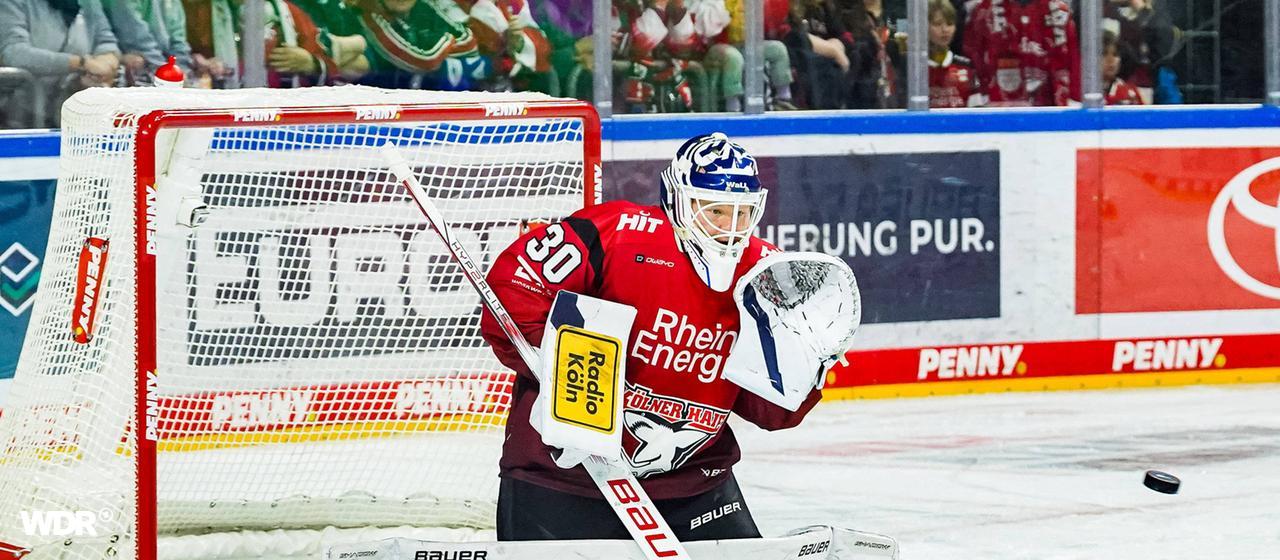 Goalkeeper Janne Juvonen has been playing for the Kölner Haie in the DEL since the end of October.