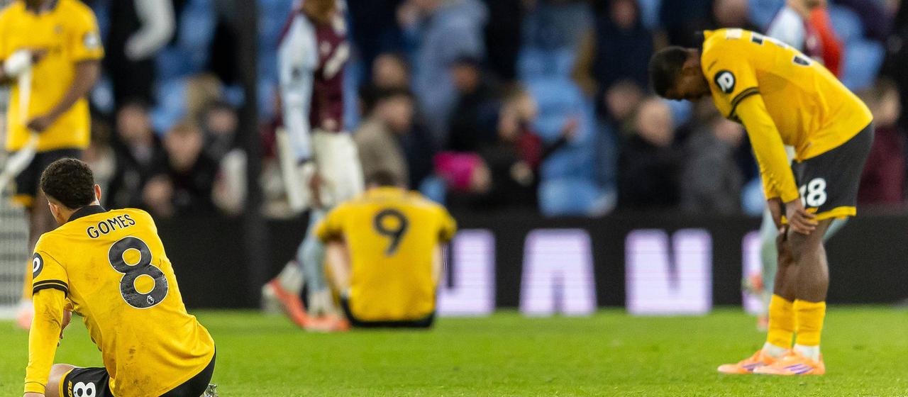 Disappointed Wolves