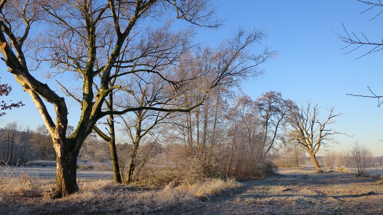 Maashorst stream valley venloop. Photo IVN Uden