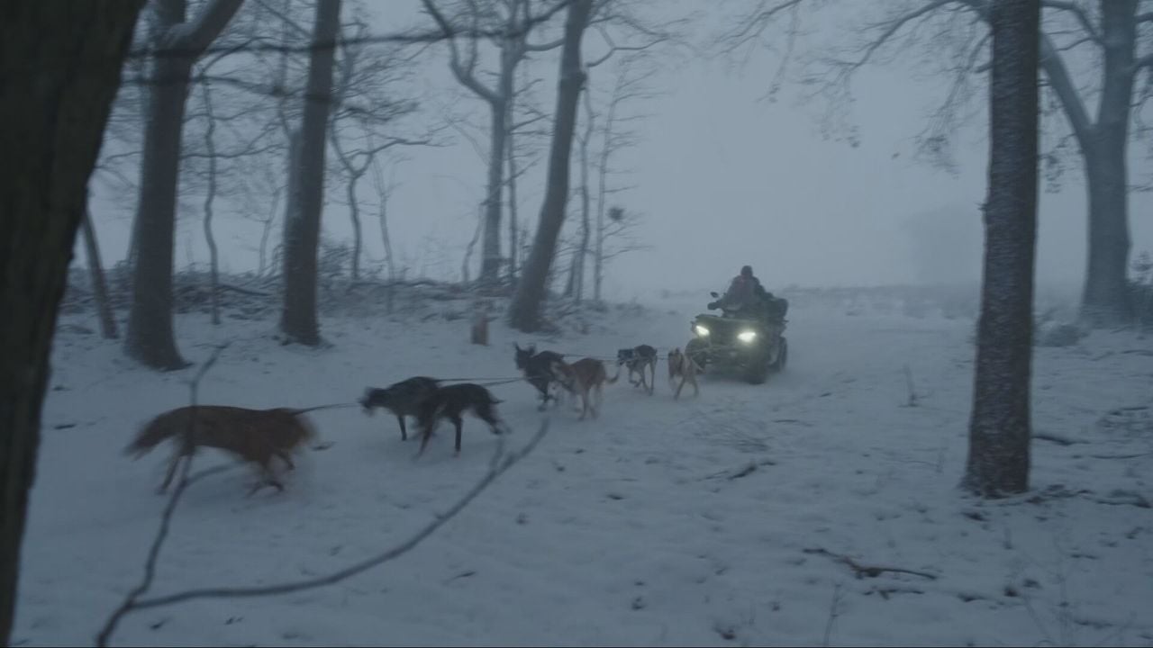The sled dogs pull the quad (photo: NOS).