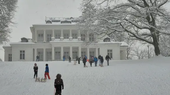 People pull sledges up the mountain.