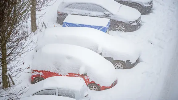 Several cars are covered in snow on a street in Hamburg.