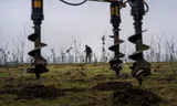 A tree planting machine, here at Bovenkarspel, on caterpillar tracks drills thirty centimeter wide holes in the firm clay in a few seconds. 