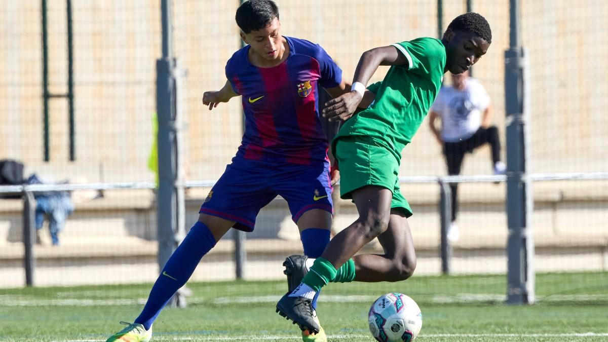 Darwin Zamora is a spectacular defender