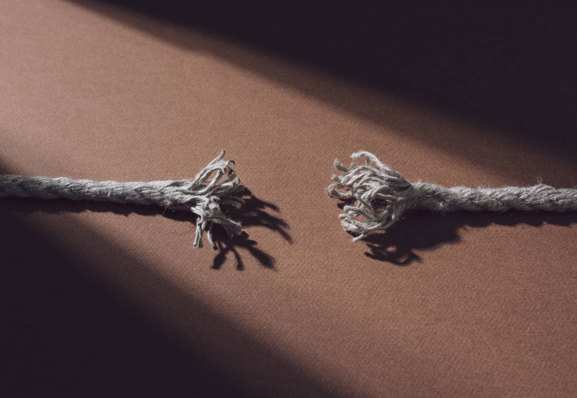 Image: Envato