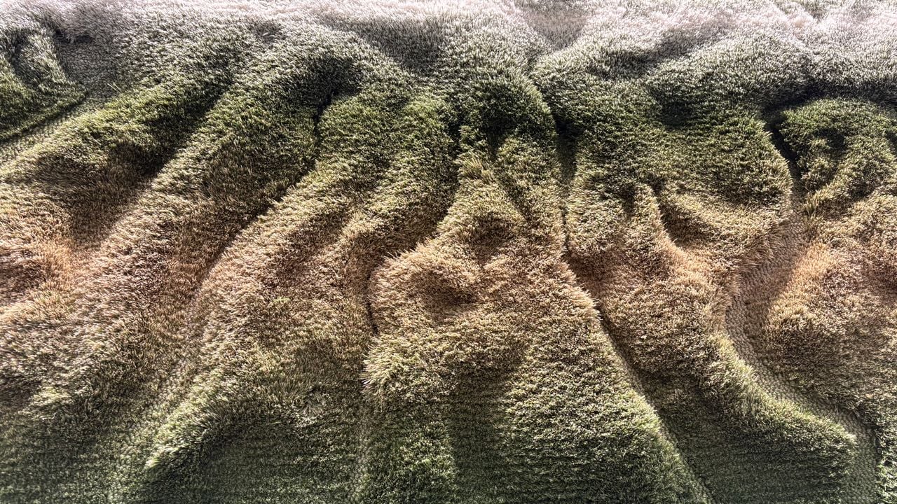 Detail of the California Drought carpet