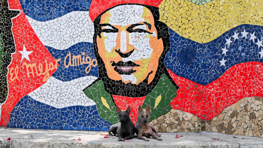 Photogallery Two dogs rest in front of a work of art by Cuban artist José Fuster, depicting the late Venezuelan president Hugo Chávez, in the coastal town of Jaimanitas, just outside Havana