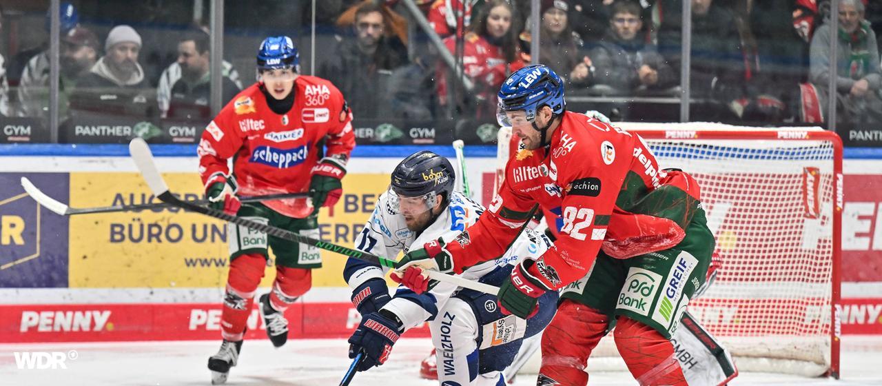 Duel between Henrik Törnqvist and Alexandre Grenier