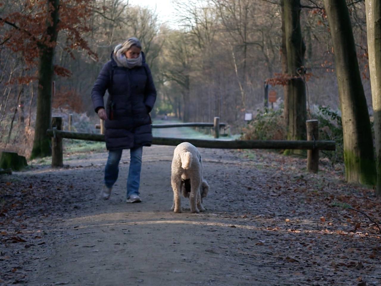 https://api.omroepbrabant.nl/img/f/$width$/$height$/0.50/0.50/cmV2aXNpb25zLzQ4MjE1MjktMS5qcGc_c2U9MjA0NS0wMS0wMVQxMCUzQTQwJTNBMDBaJnNpZz0lMkJHMHR oJTJCWlVwZCUyQlRCTmVQaFpCS3lkVWZPaHV1cXVJbGJSN0xuWE5JbnUwJTNEJnNwPXImc3B yPWh0dHBzJnNyPWImc3Q9MjAyNS0wMS0wMVQxMCUzQTQwJTNBMDBaJnN2PTIwMjAtMTAtMDI=