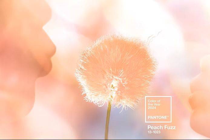 Pantone 'Peach Fuzz' - Color of the Year 2024