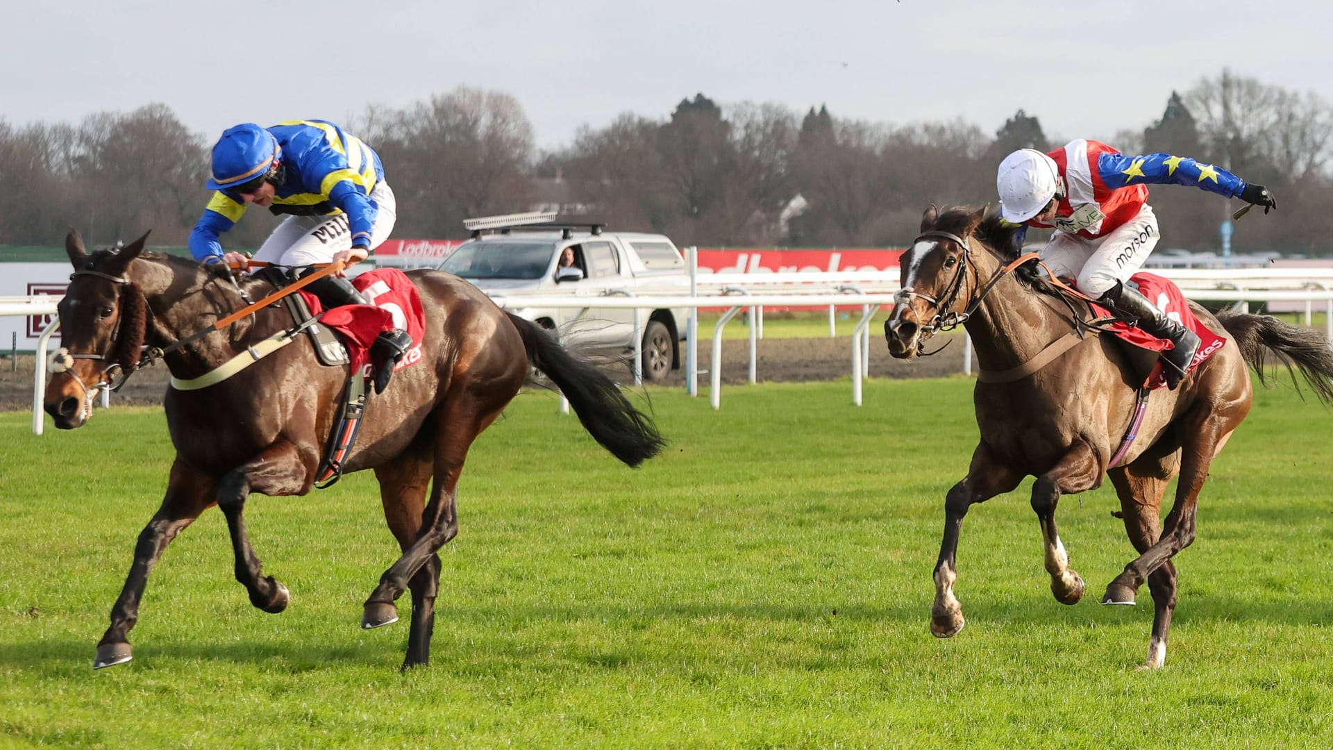 Two horses at a race in Kempton Park (archive photo): Last weekend three died after accidents.