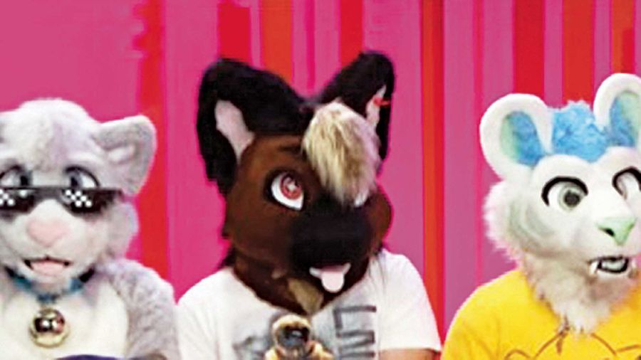 Furries