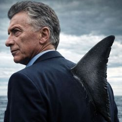 Macri shark | Photo:IA