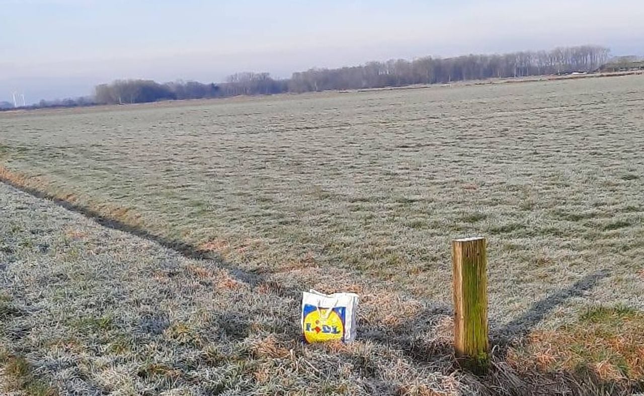 The rabbits were left in this plastic bag (Photo: De Maashorst Shelter).