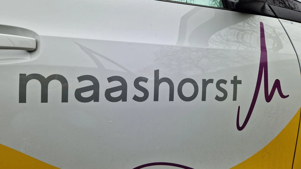 The logo of the municipality of Maashorst (photo: Tom Berkers).