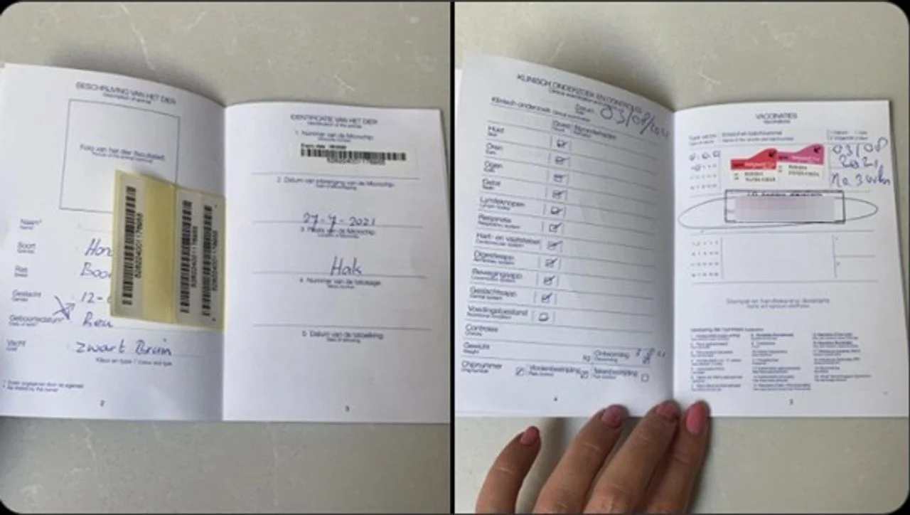 An animal passport with a stamp from the veterinarian in question (photo: X.com).