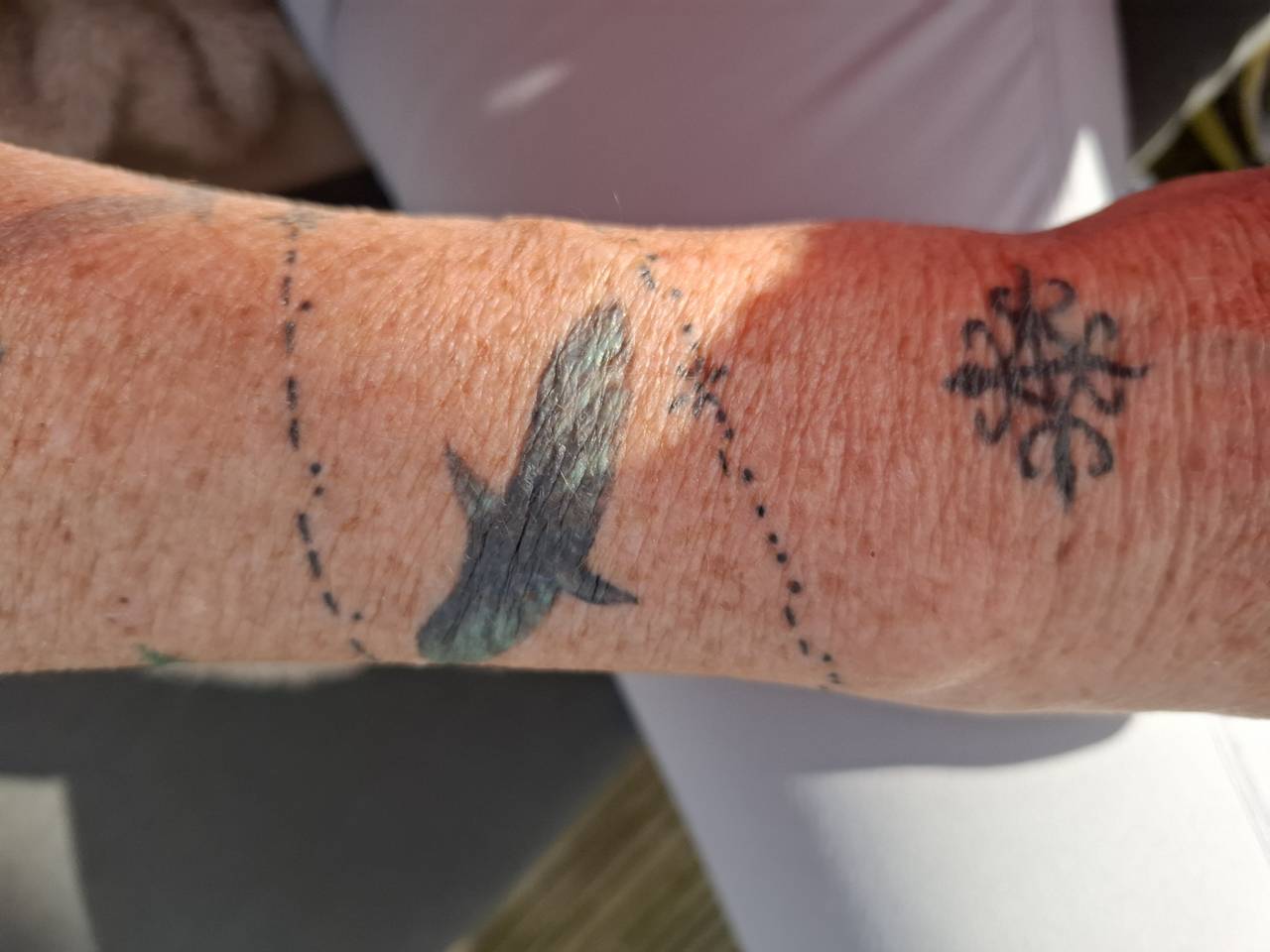 https://api.omroepbrabant.nl/img/f/$width$/$height$/0.50/0.50/cmV2aXNpb25zLzQ4NzAxNzAtMS5qcGc_c2U9MjA0NS0wMS0wMVQxMCUzQTQwJTNBMDBaJnNpZz1XSzRRW TV1d3NKUFBwQ3pqOGRNM1dwR3c4V3dBN29HS2VqdTltbjglMkYzSVElM0Qmc3A9ciZzcHI9 aHR0cHMmc3I9YiZzdD0yMDI1LTAxLTAxVDEwJTNBNDAlM0EwMFomc3Y9MjAyMC0xMC0wMg==