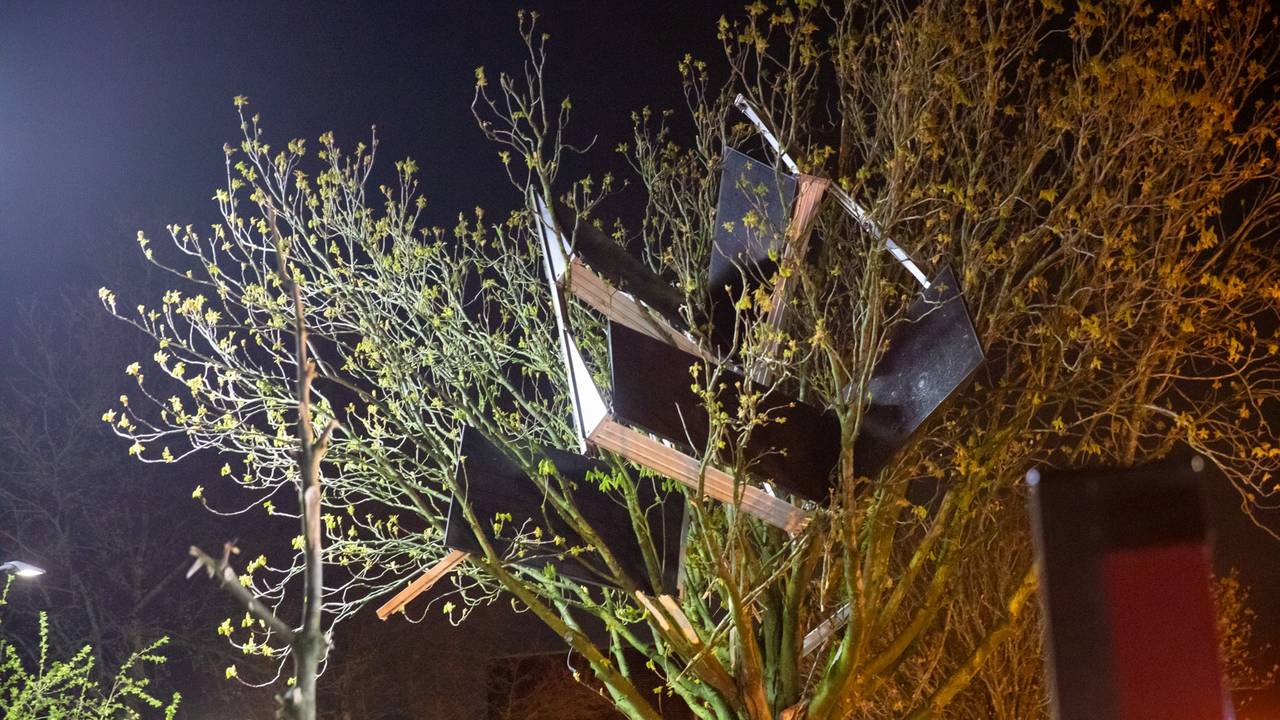 Some of the blown away solar panels ended up in a tree (photo: Christian Traets/Heitink Press Agency).