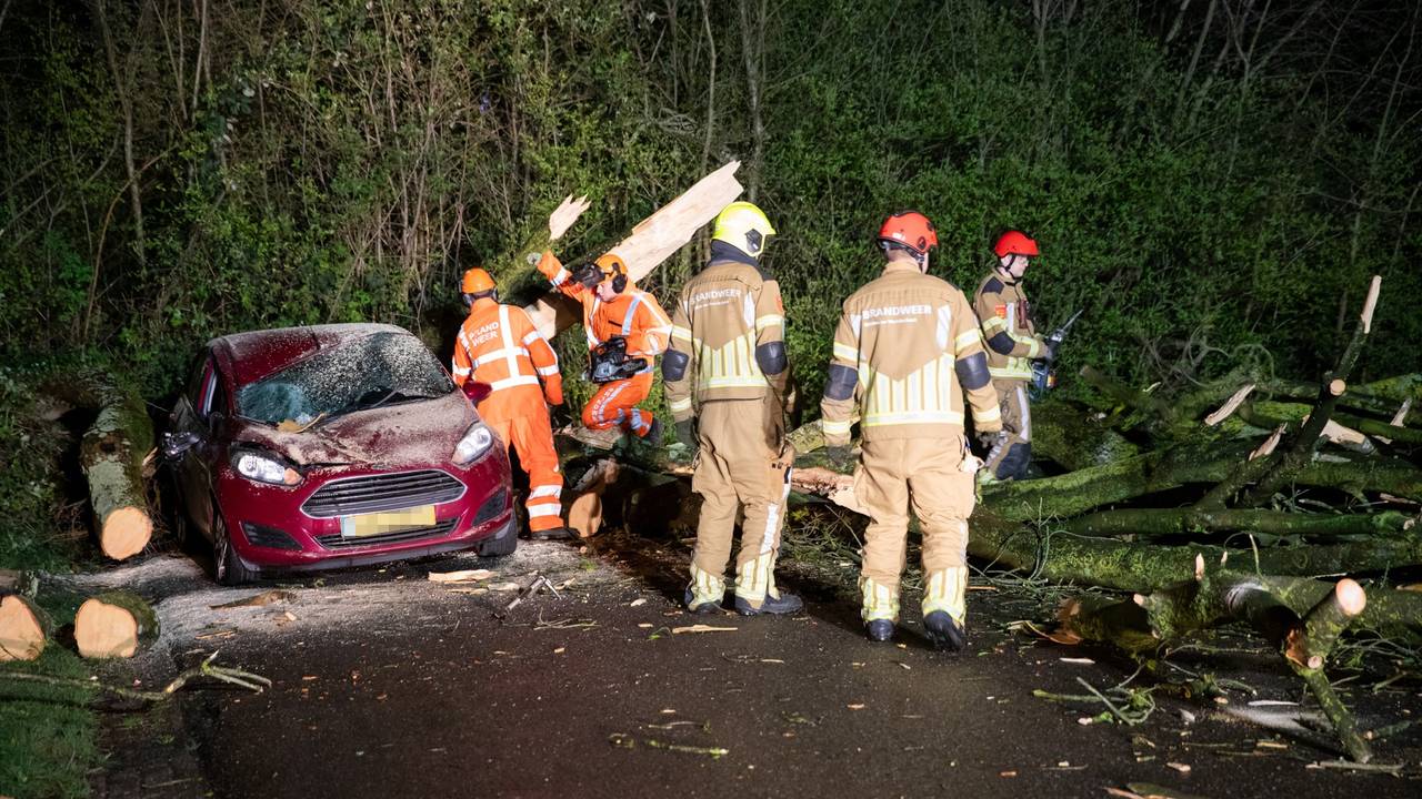The fire brigade sawed the tree into pieces at Paulusdonk in Roosendaal (photo: Christian Traets/Persbureau Heitink).