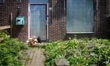 Inspections do not rule out