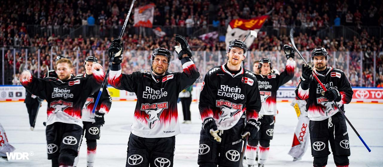 The Kölner Haie cheer in front of their fans