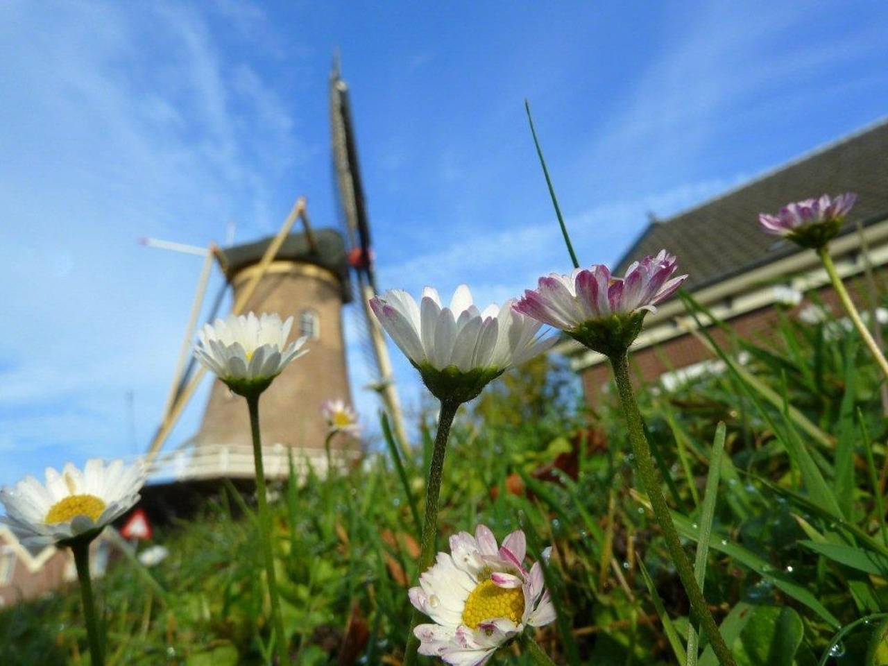 https://api.omroepbrabant.nl/img/f/$width$/$height$/0.50/0.50/cmV2aXNpb25zLzEwMDkyOTItMS5qcGc_c2U9MjA0NS0wMS0wMVQxMCUzQTQwJTNBMDBaJnNpZz1RYlF ZMHA3YUlwbTVwOUY3akdHZWVMWTdEb3lma2YzS2ViNHZyZXA1Q2xrJTNEJnNwPXImc3ByP Wh0dHBzJnNyPWImc3Q9MjAyNS0wMS0wMVQxMCUzQTQwJTNBMDBaJnN2PTIwMjAtMTAtMDI=