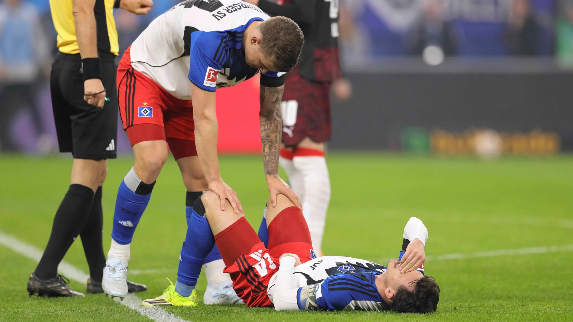 Nicolas Capaldo is injured on the ground: The HSV professional is out for the time being with an abdominal muscle injury. Nicolas Capaldo is injured on the ground: The HSV professional is out for the time being with an abdominal muscle injury.
