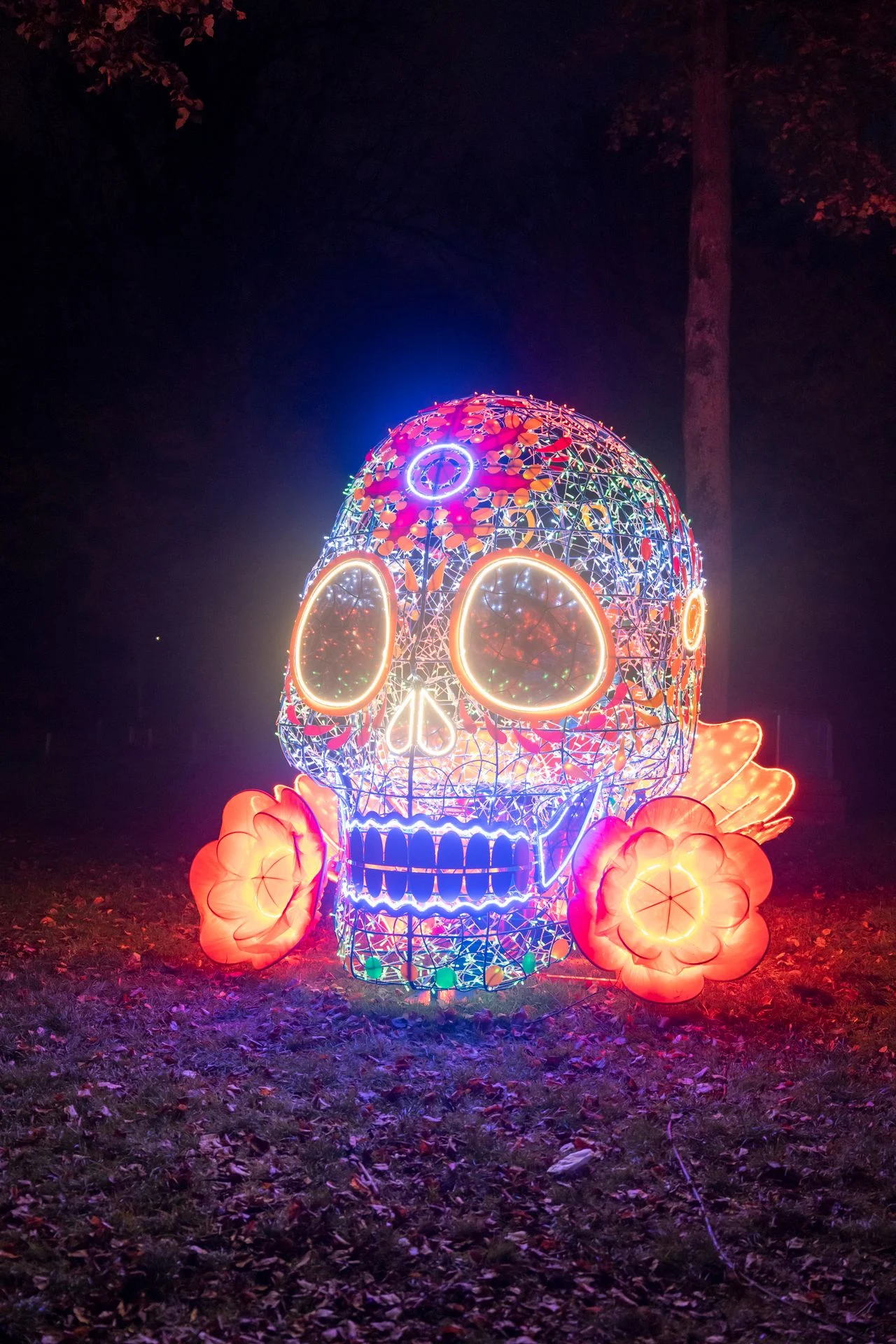 A work by art collective Trafficlight of Mexico that was on display during GLOW Eindhoven last year (photo: Bart van Overbeeke).