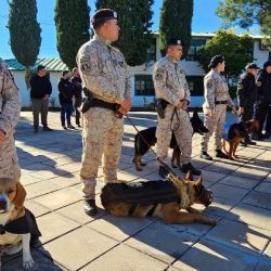 Javier Catoni and the canine teams | Photo: CEDOC