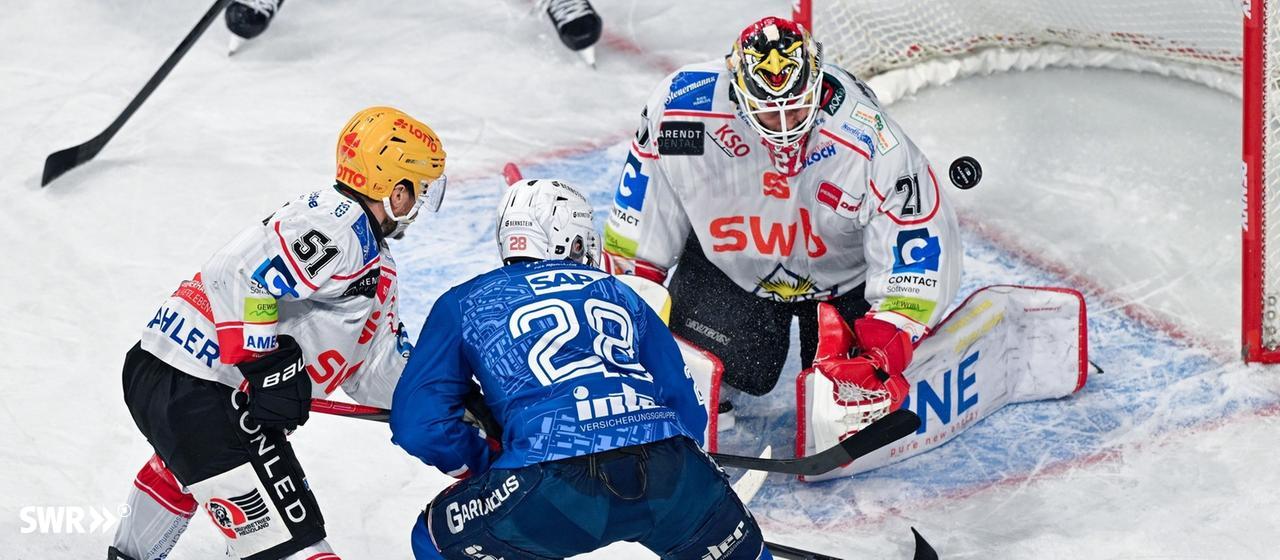 Adler Mannheim against Fischtown Pinguins