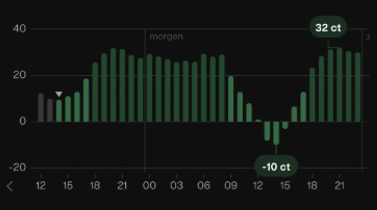 The partly negative electricity prices, excluding VAT and energy tax, on Saturday (image: Zonneplan app).